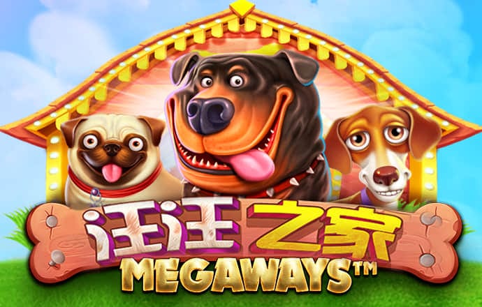期期中app官网平台
